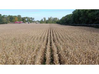 LaGrange County, Indiana farmland - LAND AUCTION - 160+/- ACRES OFFERED IN 9 TRACTS IN LAGRANGE COUNTY, INDIANA